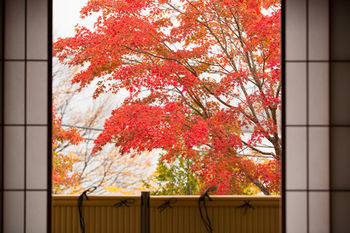 Hoshino Resorts Kai Nikko Buitenkant foto